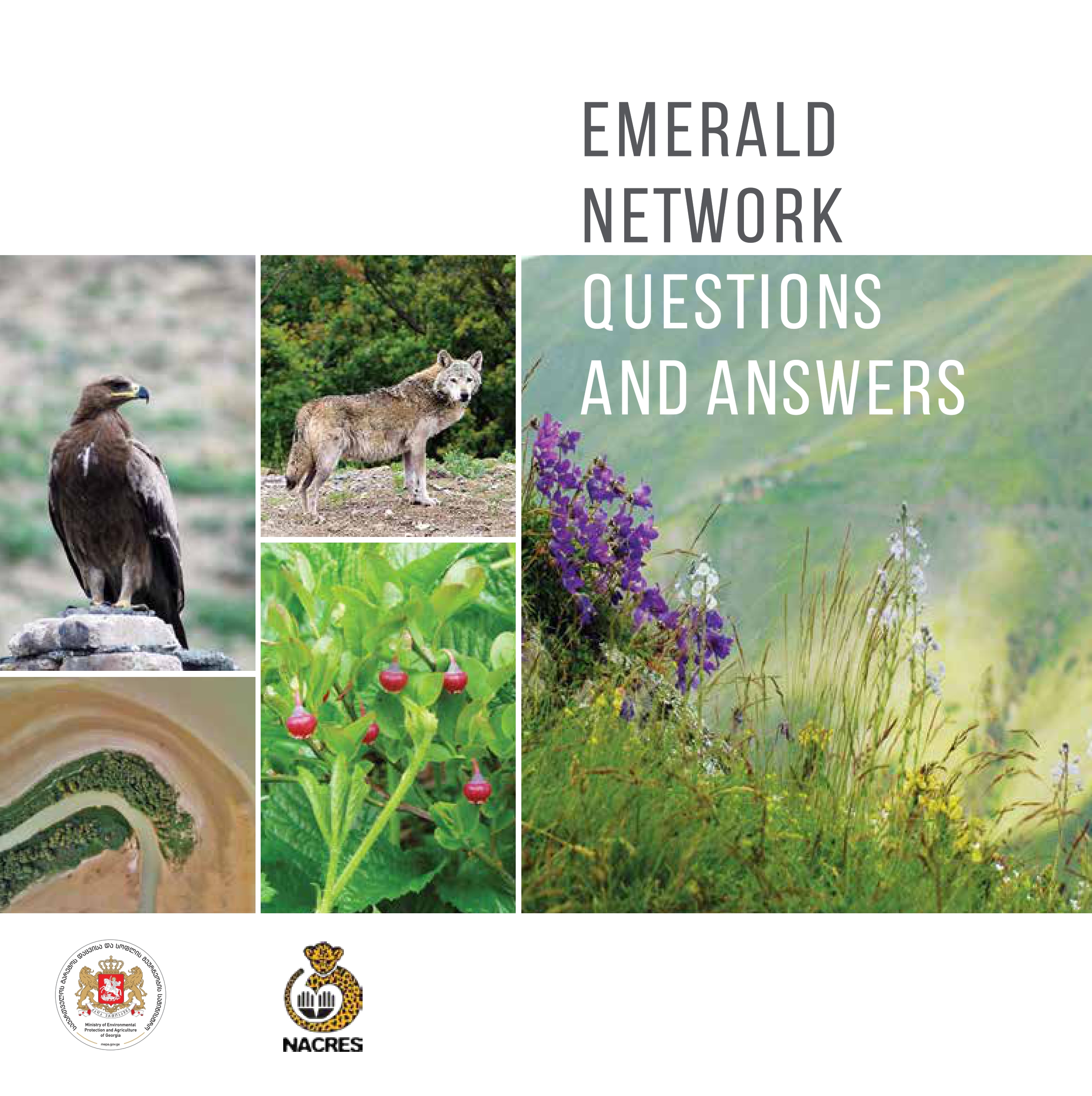 Emerald Network Questions and Answers