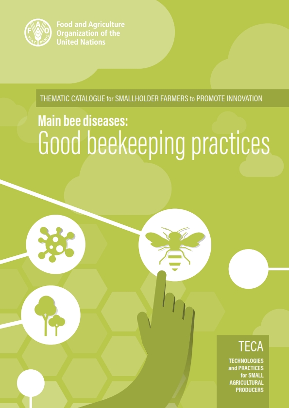 FAO Bee Disease Guide